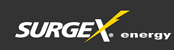 SurgeX